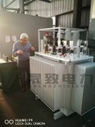 油浸式變壓器中性點(diǎn)接地和不接地的區(qū)別